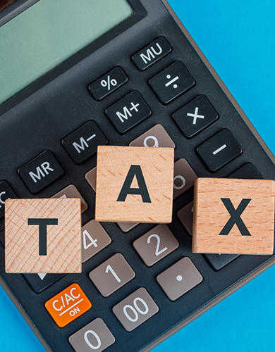 Why GST Consultants / GST Expert is Important
